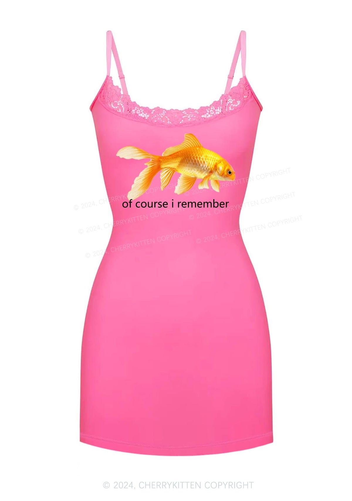 I Remember Goldfish Y2K Lace Slip Dress Cherrykitten