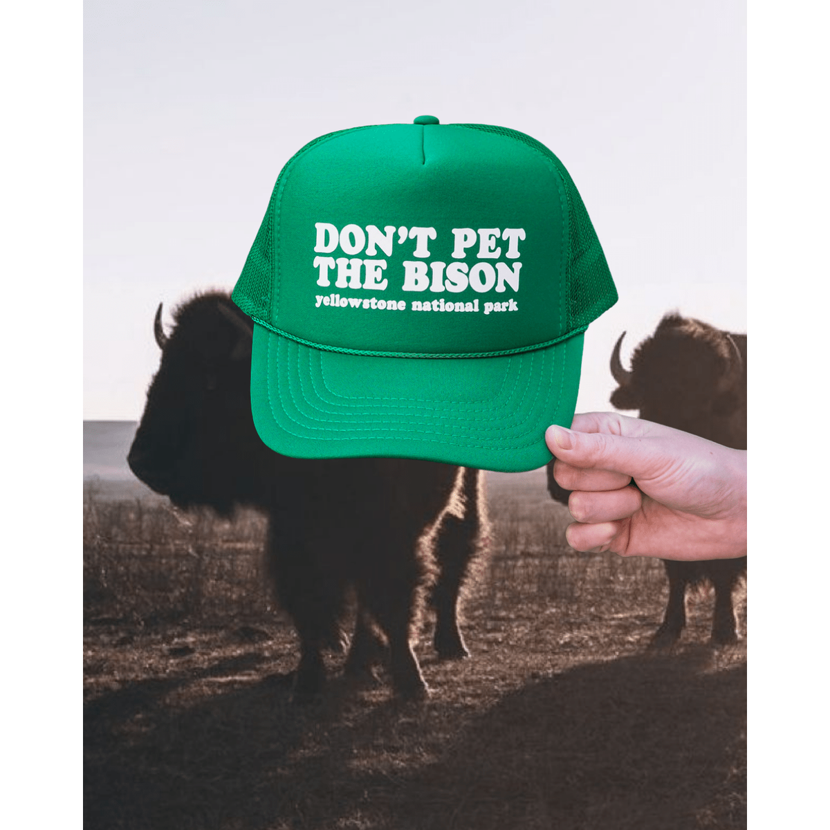 "Don't Pet The Bison" Trucker Hat - Green