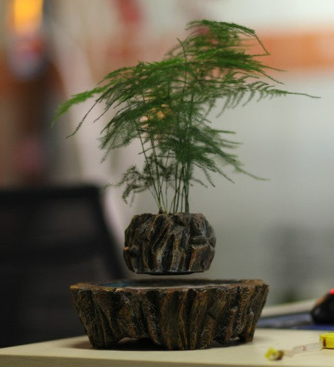 Creative Floating Potted Plant Decor