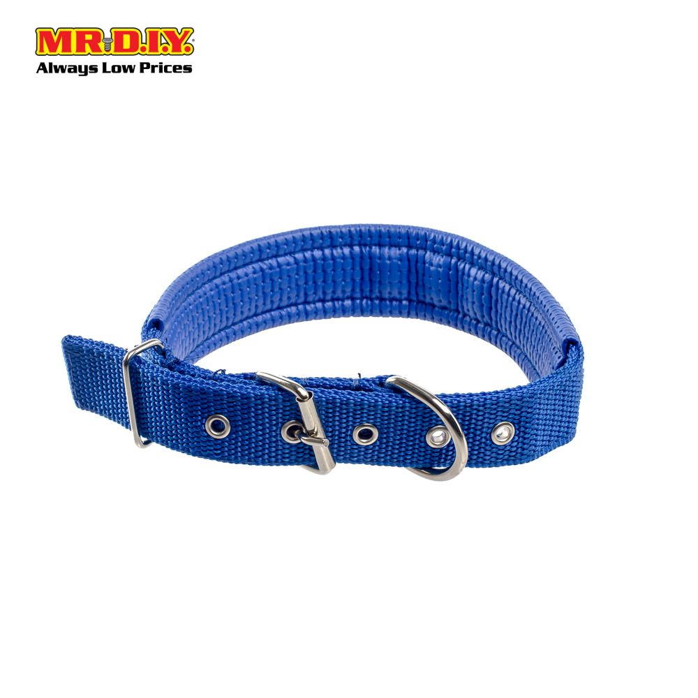 JIN XIN Pet Collar 3cm