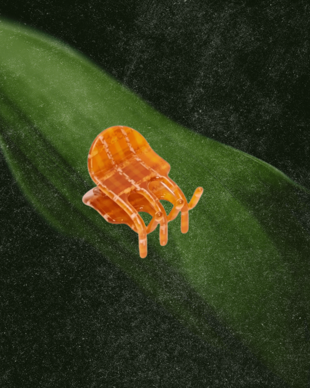Mini Claw - Caramel Plaid