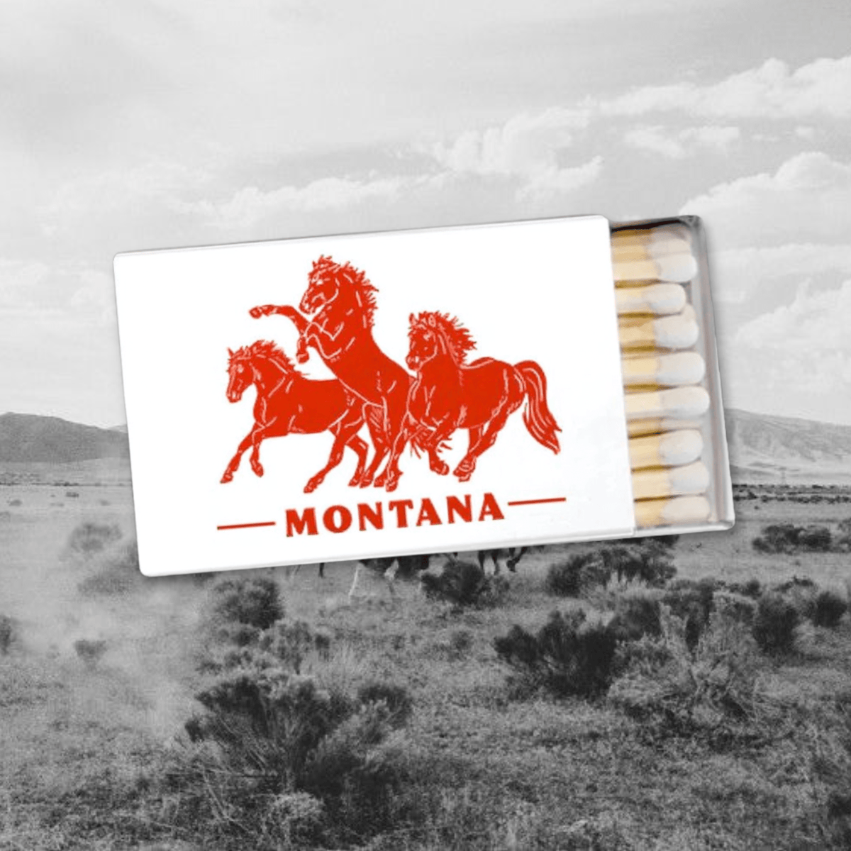 "Horsepower" Matches