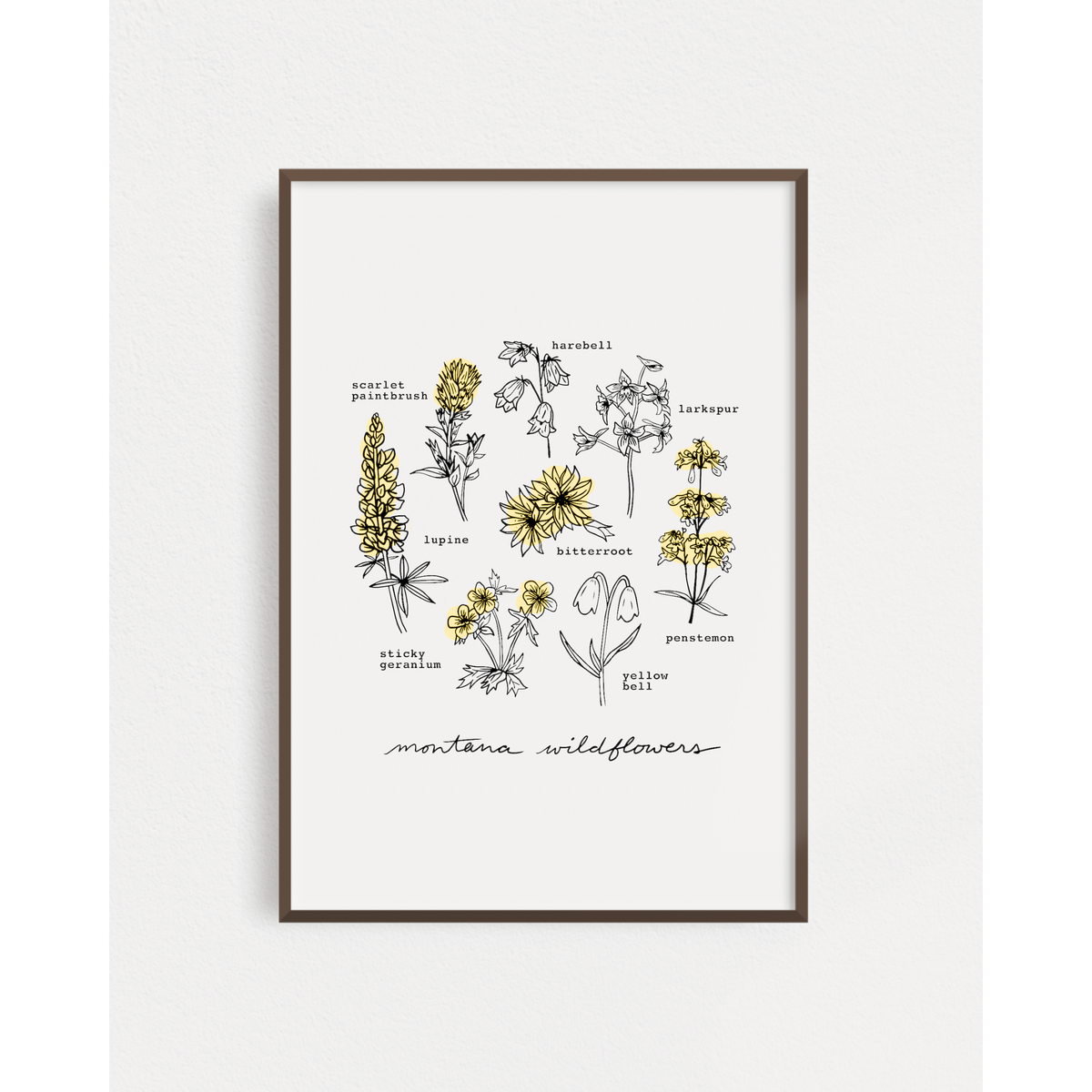 "Montana Yellow Wildflower" Poster