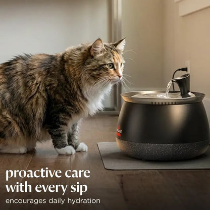 Wireless Cat Water Fountain with Filter, Ultra-Quiet Pump & Automatic Water Circulation