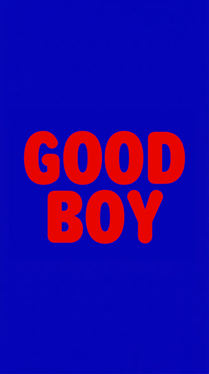 Good Boy Y2K Phone Case Cherrykitten