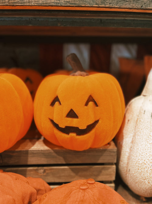 Small Flocked Jack-O-Lantern