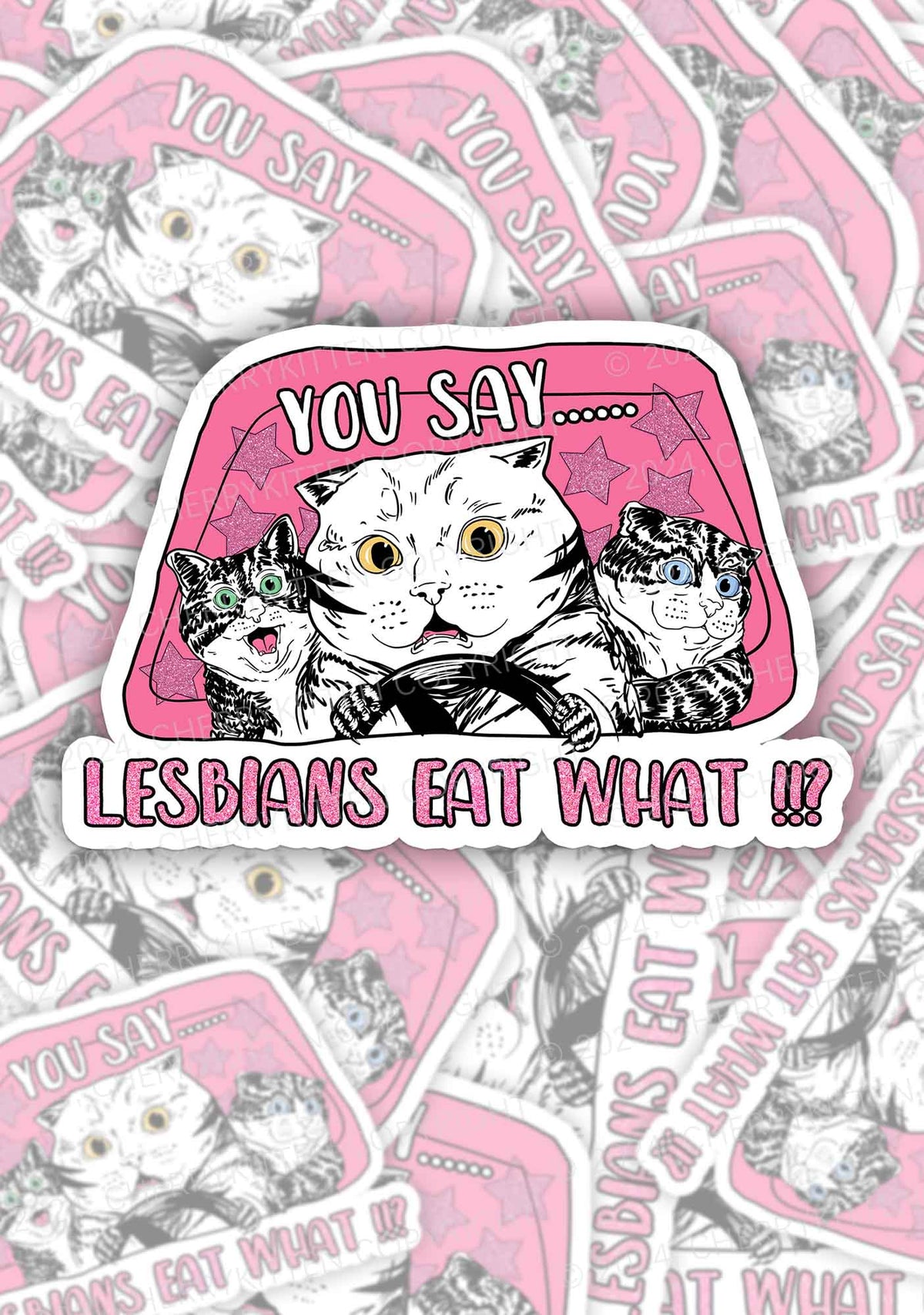 Cherrykitten Lesbian Art Y2K Stickers Pack Of 10