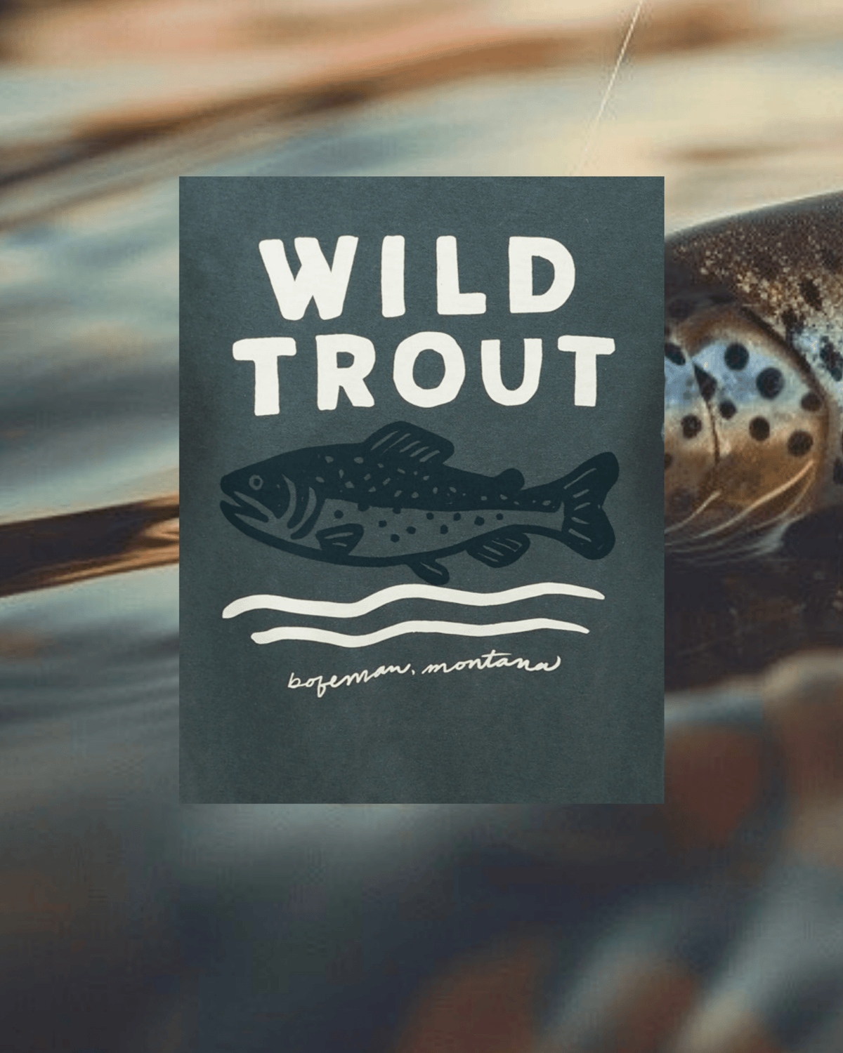 "Wild Trout" Pullover