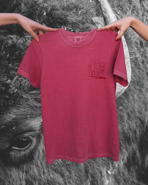 "Montana Traffic Jam" Tee in Brick