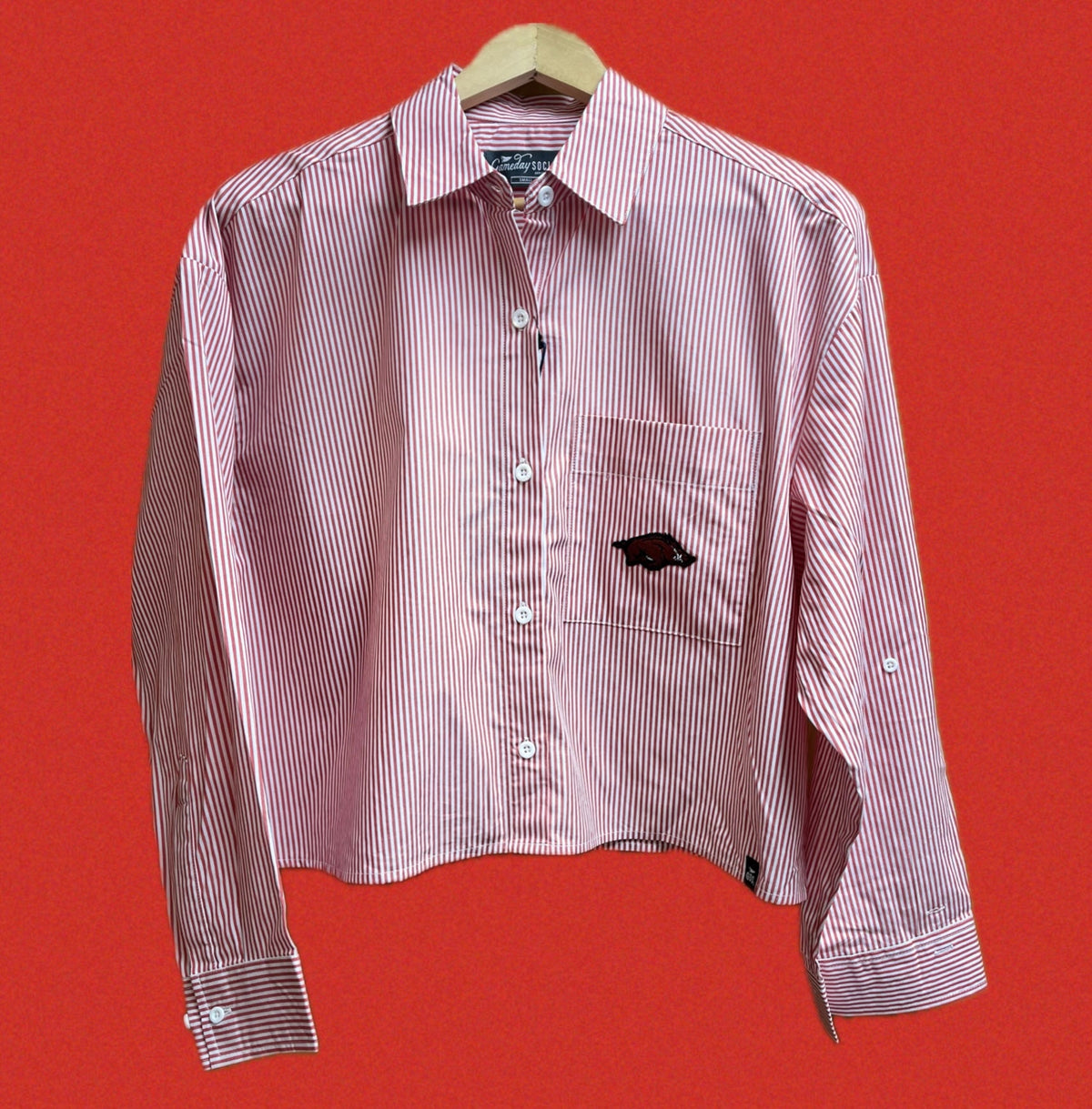 University of Arkansas Logo Patch Striped Buttondown