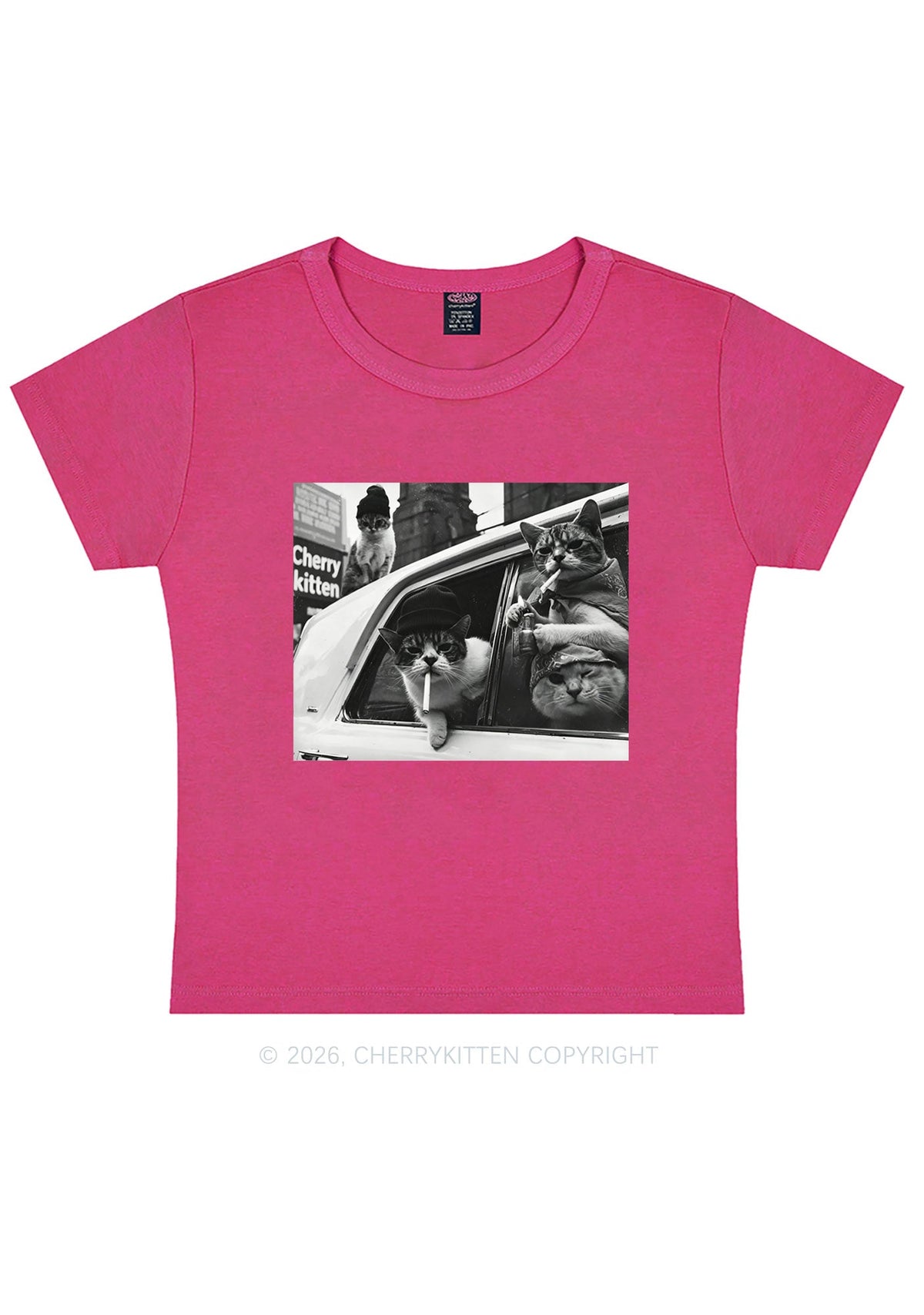 Cats Smoke In Car Y2K Baby Tee Cherrykitten