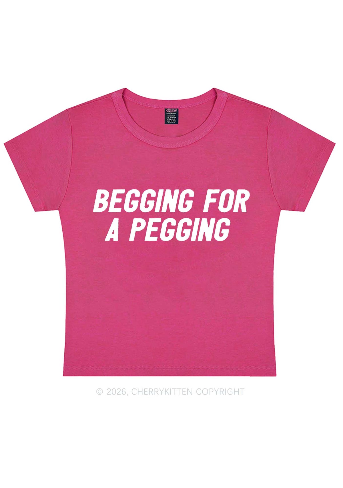 Begging For A Pegging Y2K Baby Tee Cherrykitten