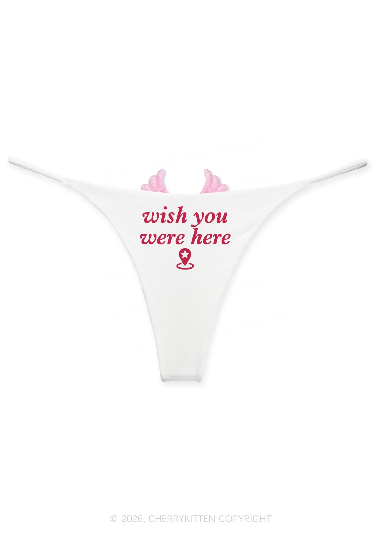 Wish You Were Here Y2K Goth Angel Wings Bikini String Thong Cherrykitten