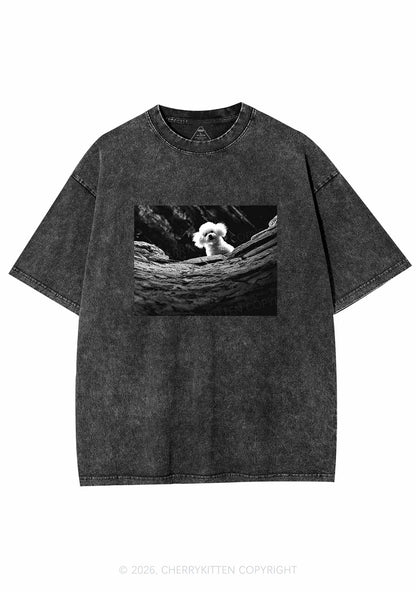 Halloween Bichon Frise Dog Y2K Shirts Washed Tee Cherrykitten
