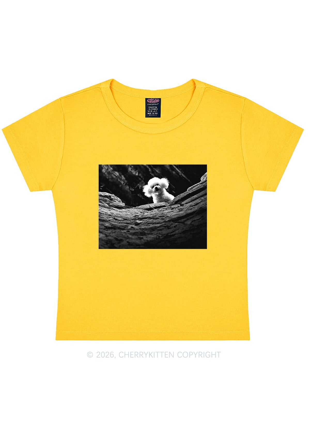Halloween Bichon Frise Dog Y2K Baby Tee Cherrykitten
