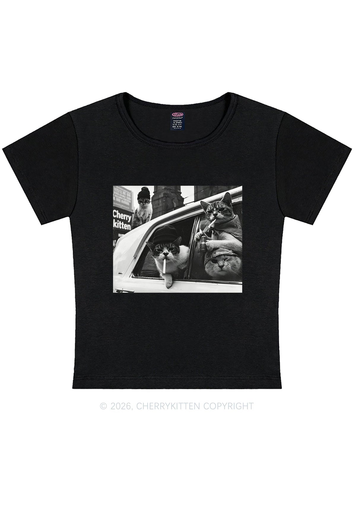 Cats Smoke In Car Y2K Baby Tee Cherrykitten