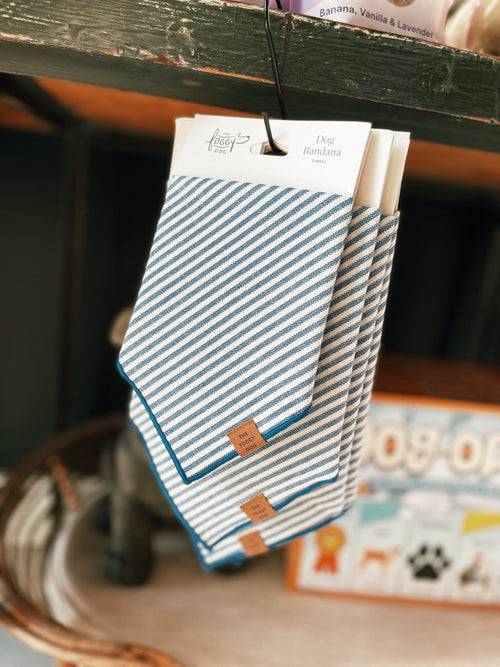 Lake Blue Stripe Summer Dog Bandana