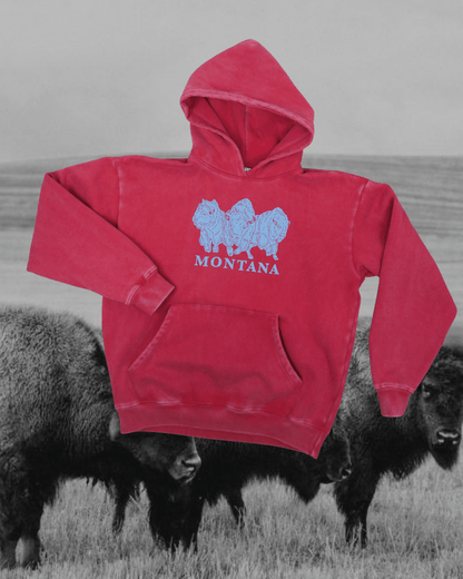 "Bison Power" Special Hoodie
