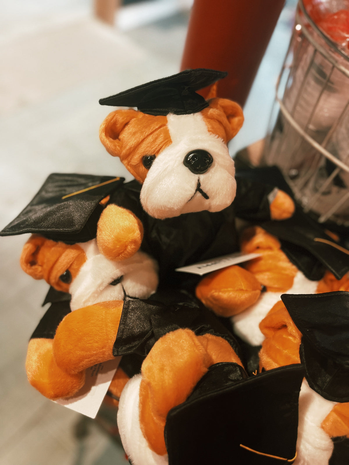 Graduation Bulldog Plush