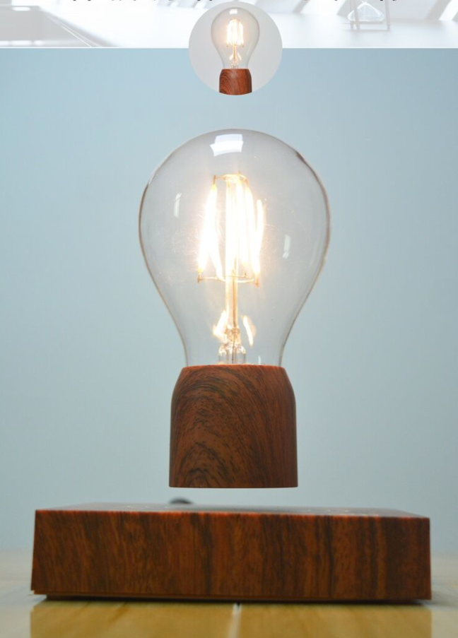 Maglev Light Bulb with Floating Plant Pot