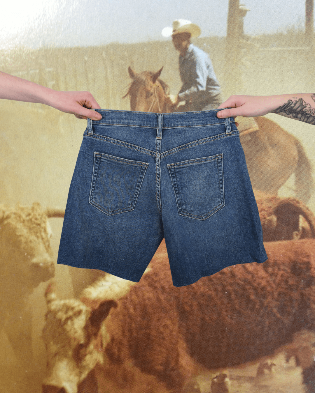 Medium Denim Bermuda Short