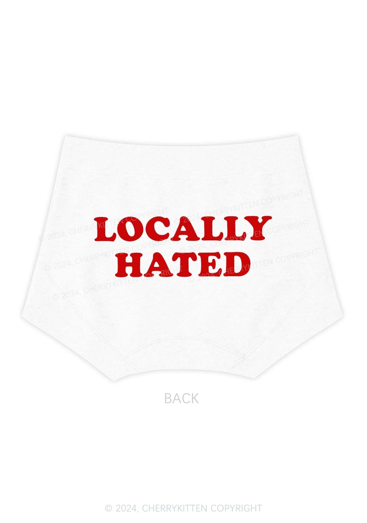 Locally Hated Y2K Mid Rise Waist Boyshort Cherrykitten