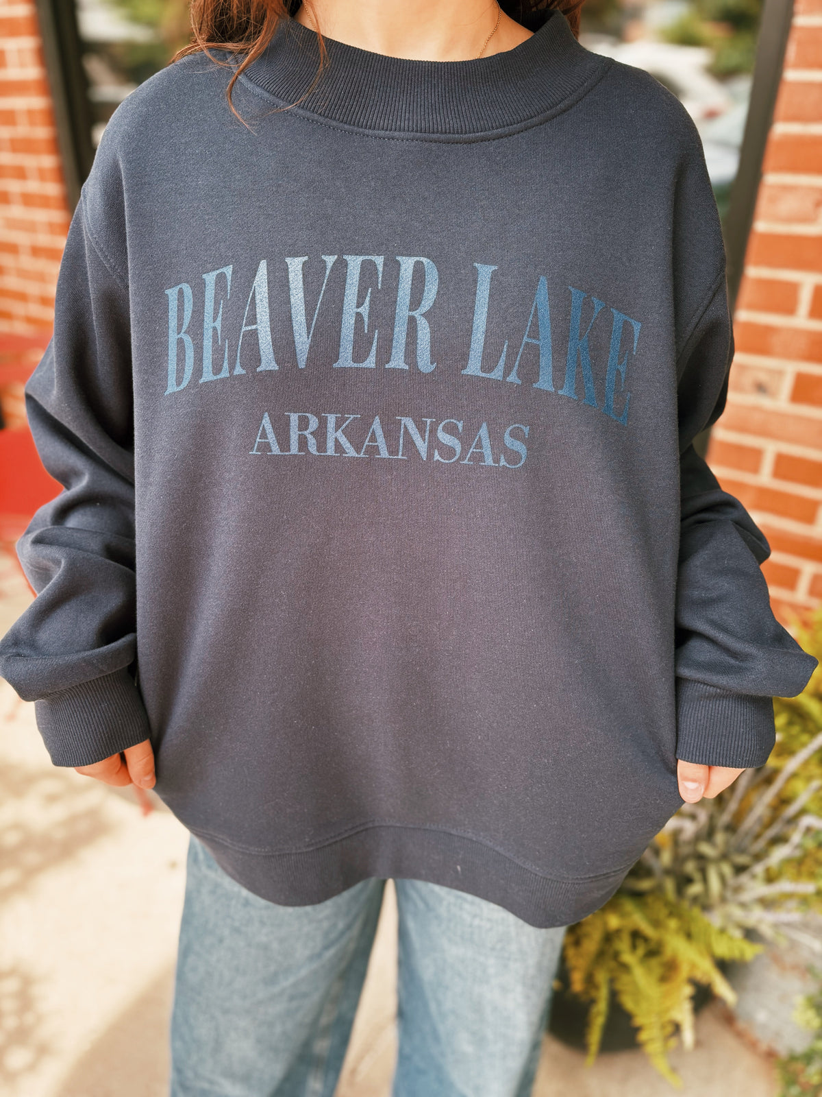Beaver Lake Mockneck