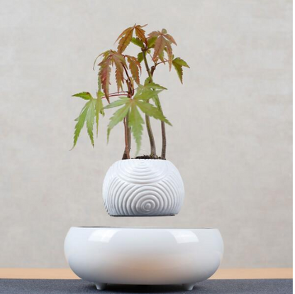 Creative Floating Potted Plant Decor
