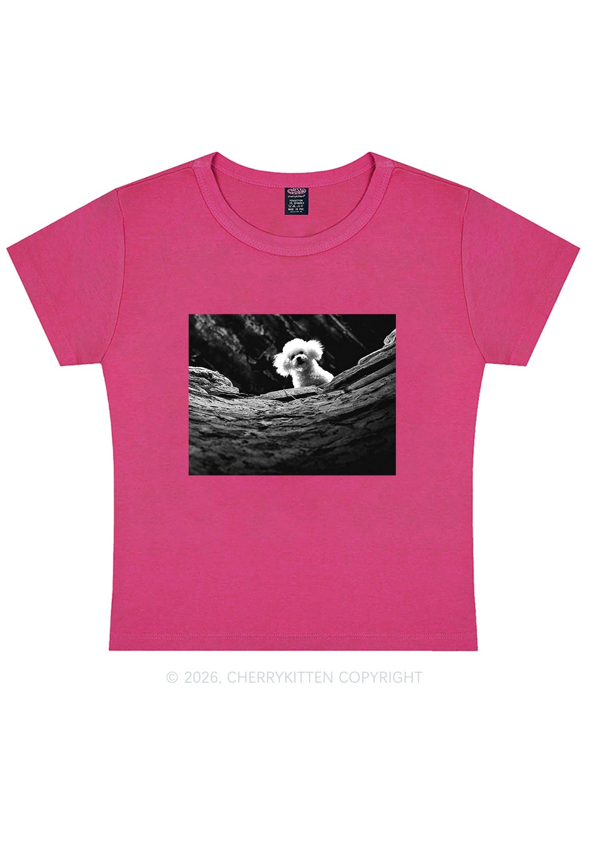 Halloween Bichon Frise Dog Y2K Baby Tee Cherrykitten