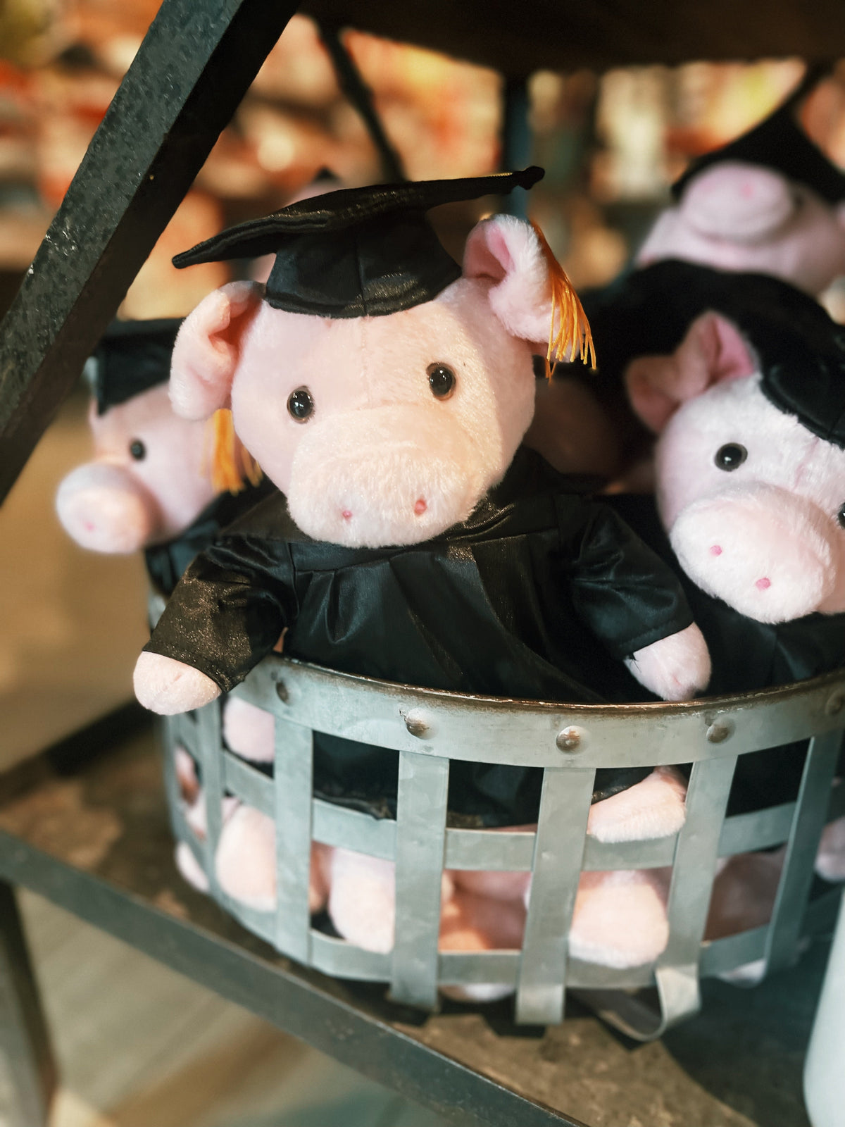 Graduation Pig Plush
