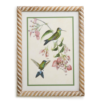 Hummingbird Framed Wall Art Prints-Set of 4
