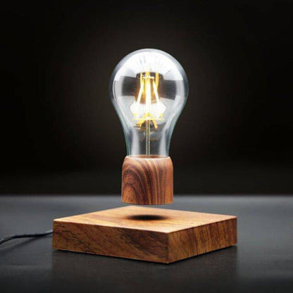 Maglev Light Bulb with Floating Plant Pot