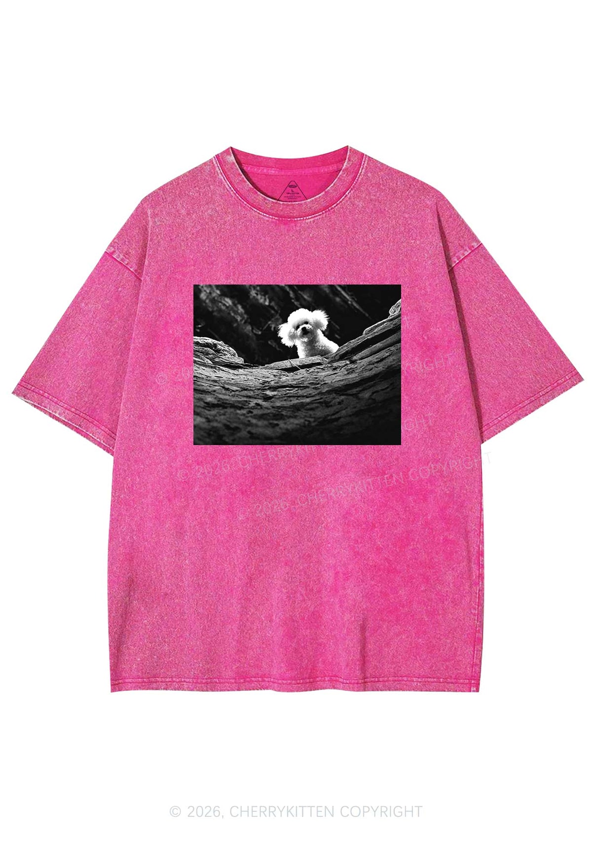Halloween Bichon Frise Dog Y2K Shirts Washed Tee Cherrykitten