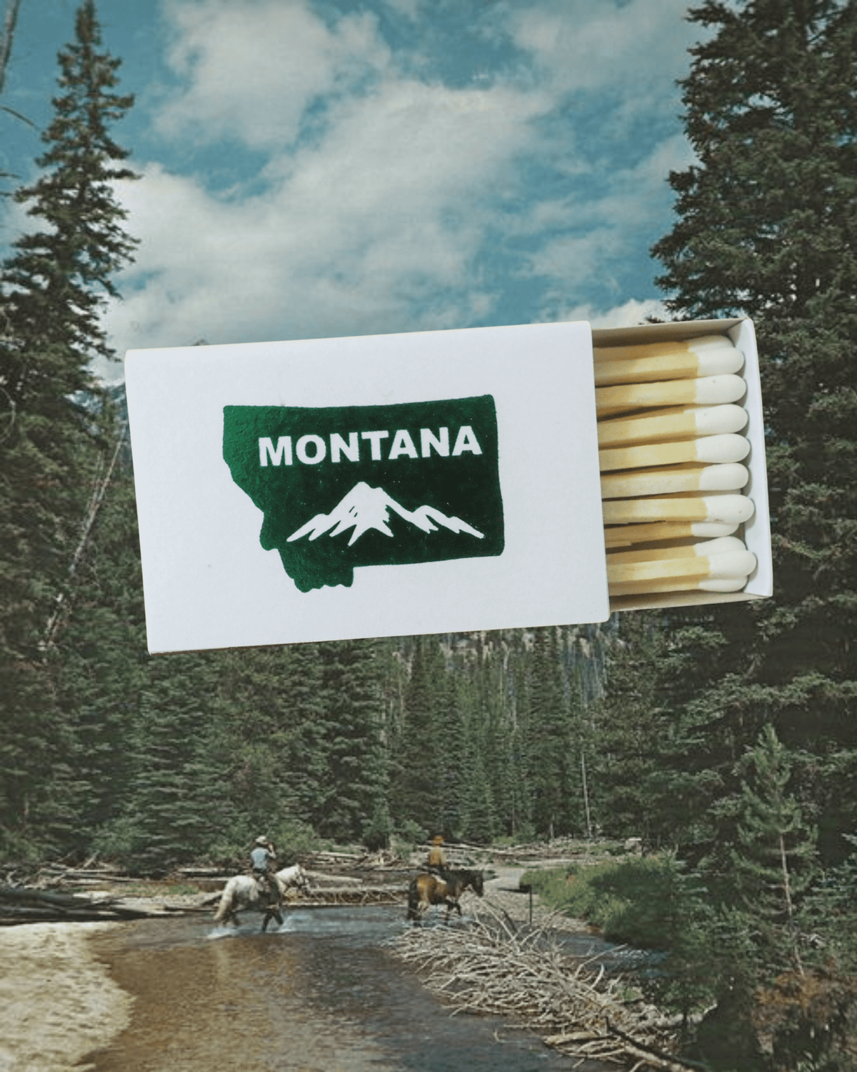"Montana Mountain" Matches
