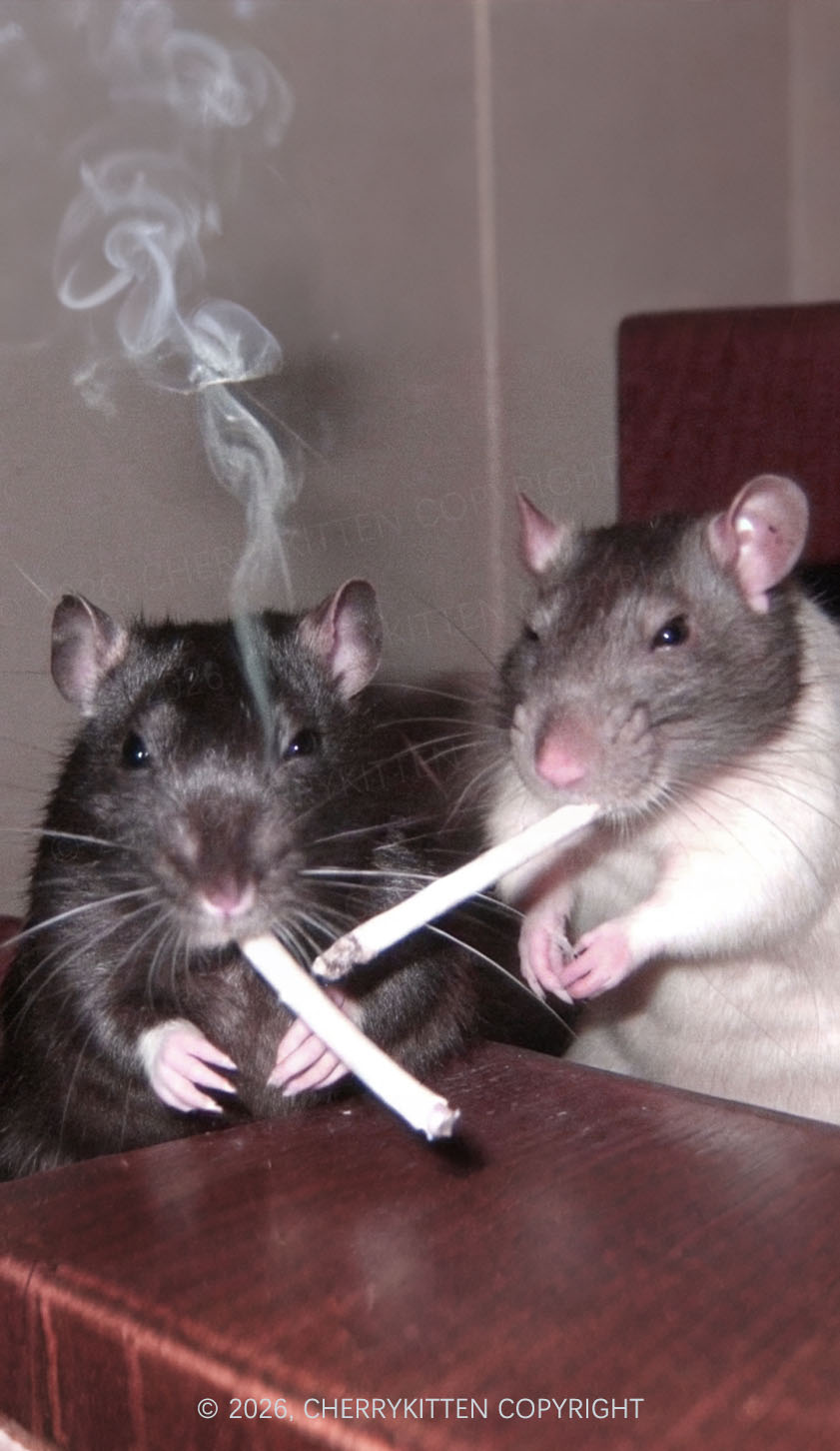 Smoking Rats Y2K Phone Case Cherrykitten