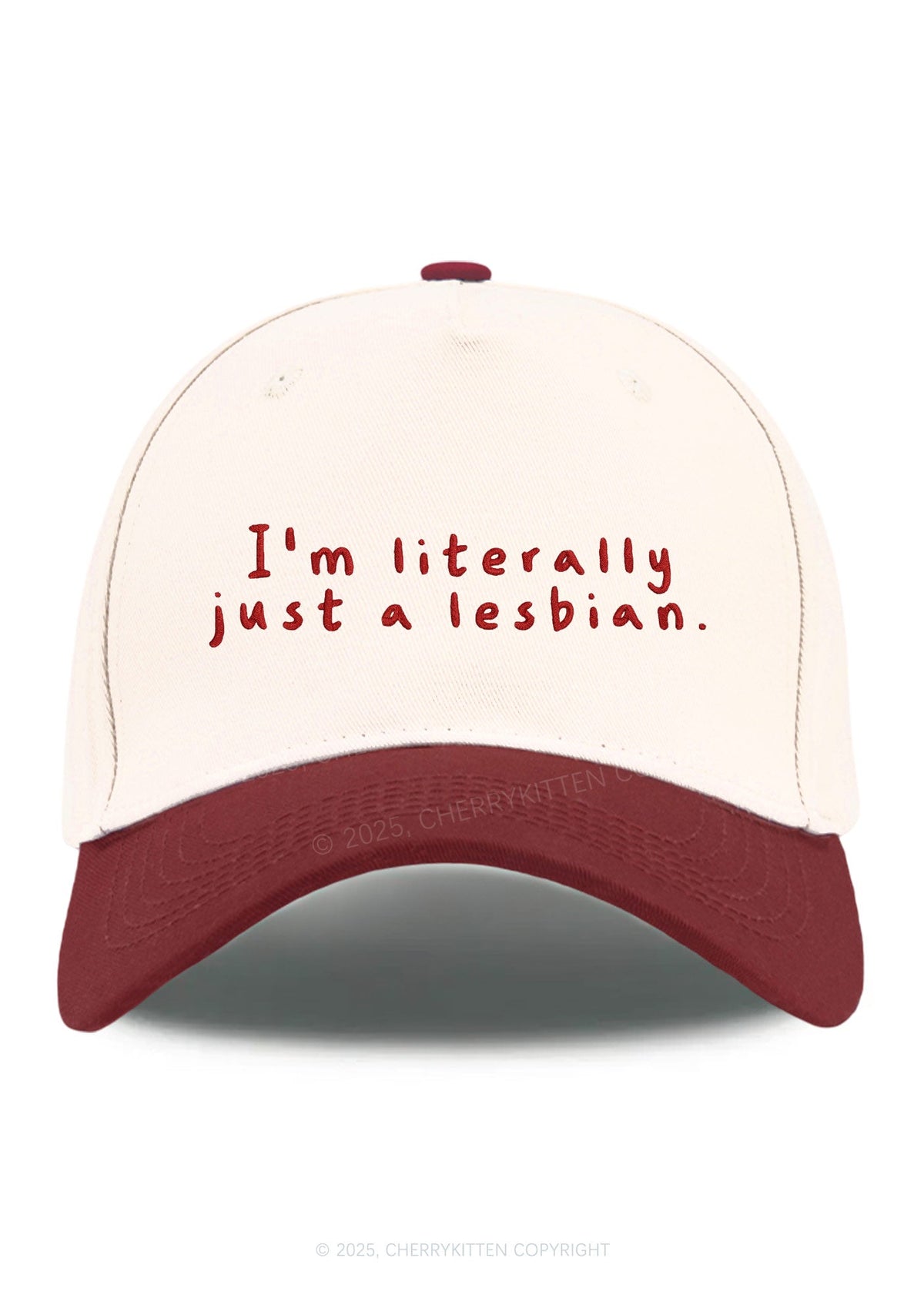 Embroidered Just A Lesbian Pride Y2K Color Block Baseball Cap Cherrykitten