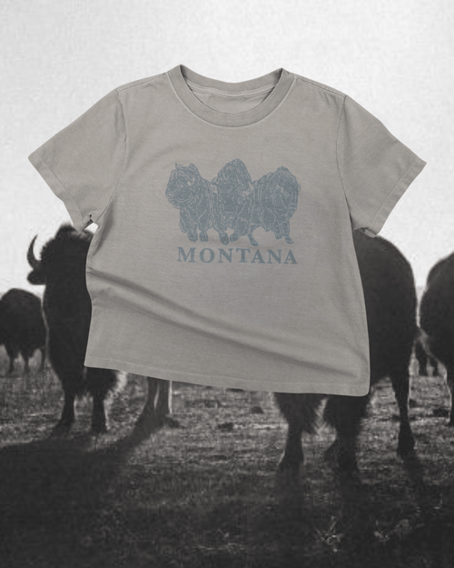 "Bison Power" Favorite Tee