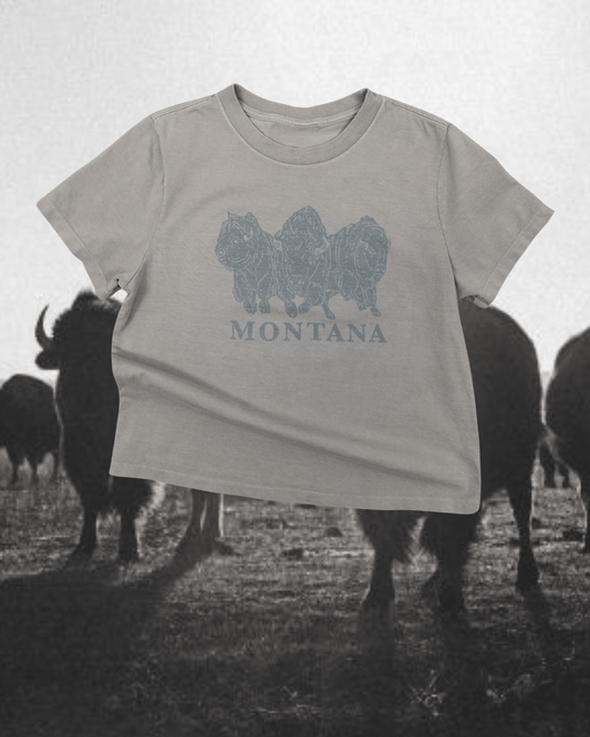 "Bison Power" Favorite Tee