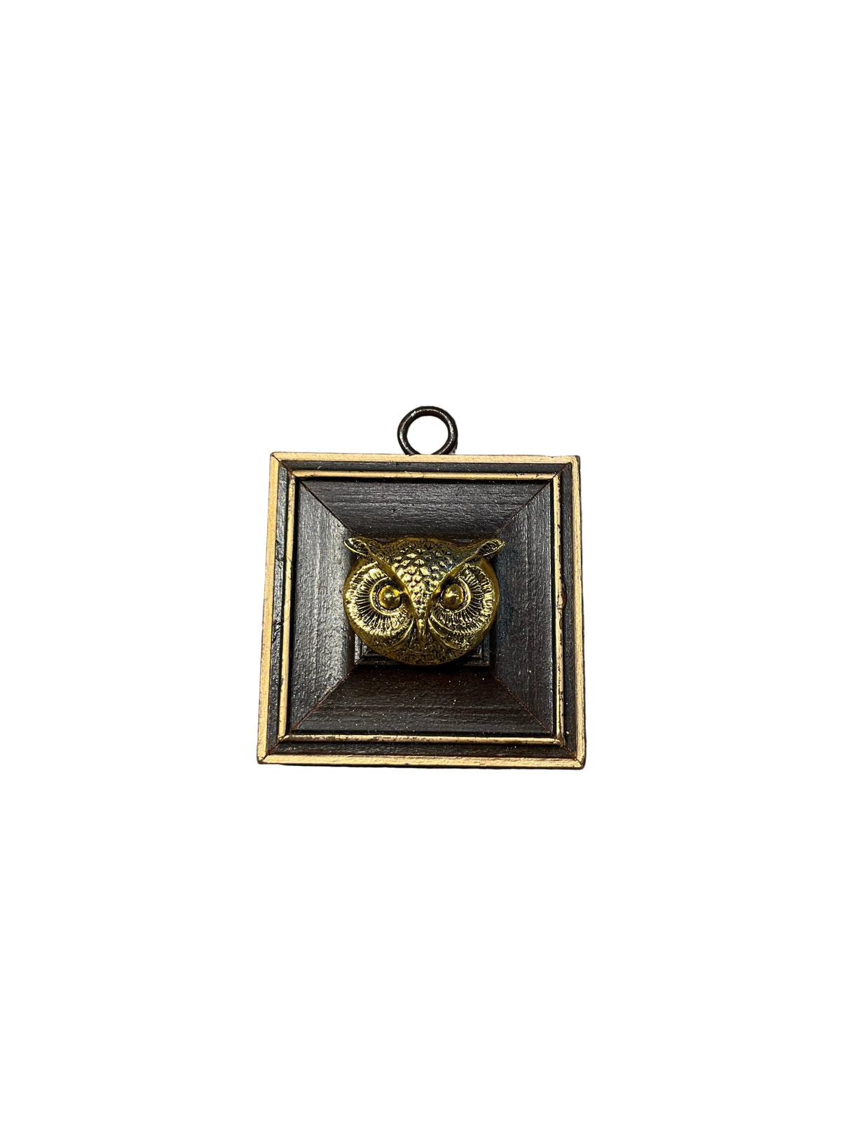 Museum Bees Frames