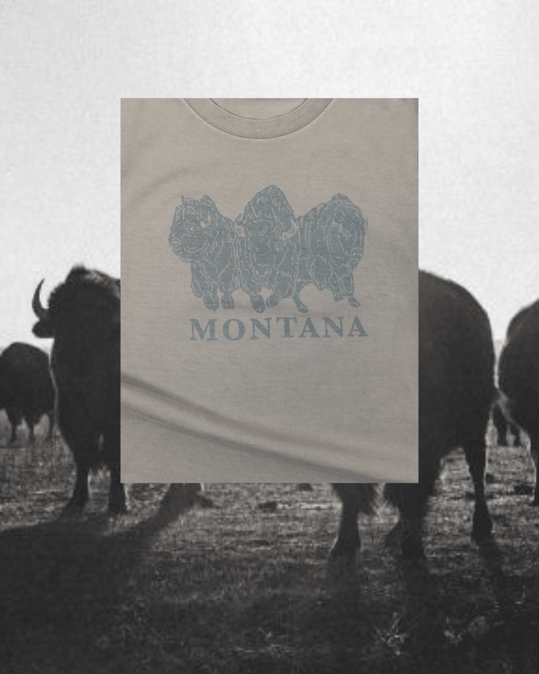 "Bison Power" Favorite Tee