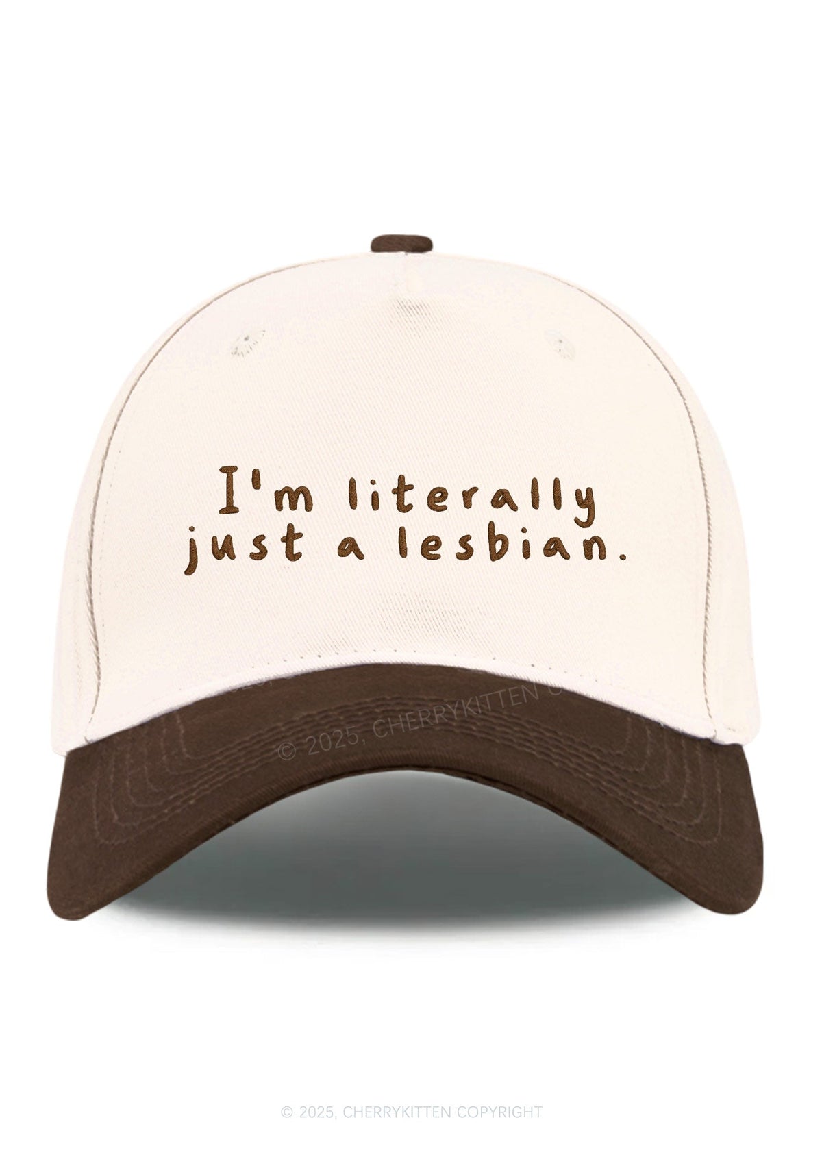 Embroidered Just A Lesbian Pride Y2K Color Block Baseball Cap Cherrykitten
