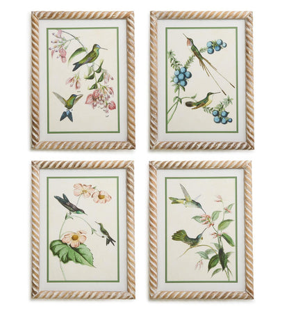 Hummingbird Framed Wall Art Prints-Set of 4