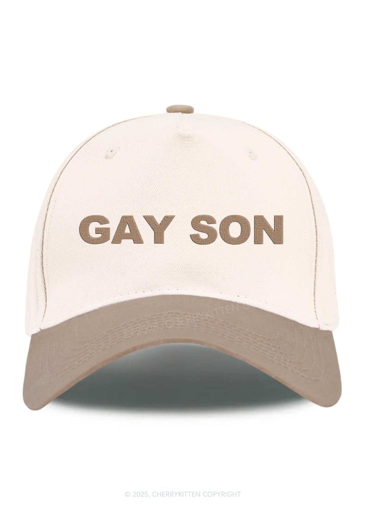 Embroidered Gay Son Pride Y2K Color Block Baseball Cap Cherrykitten
