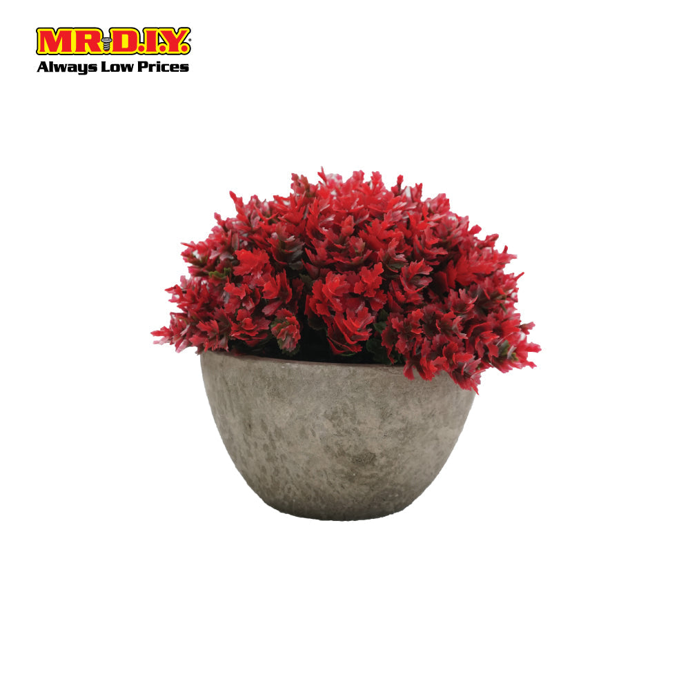 Decoration Plant with Pot