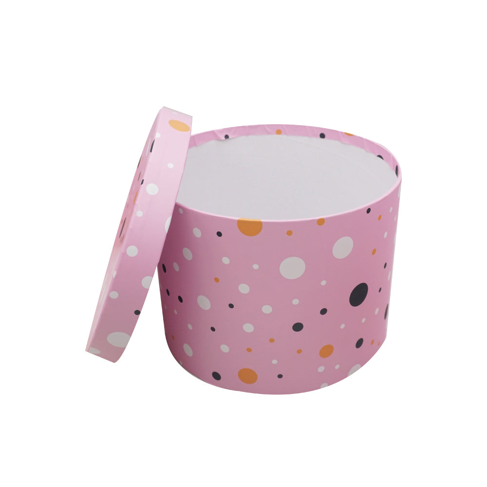 Multipurpose Plastic Gift Box (21x16cm)