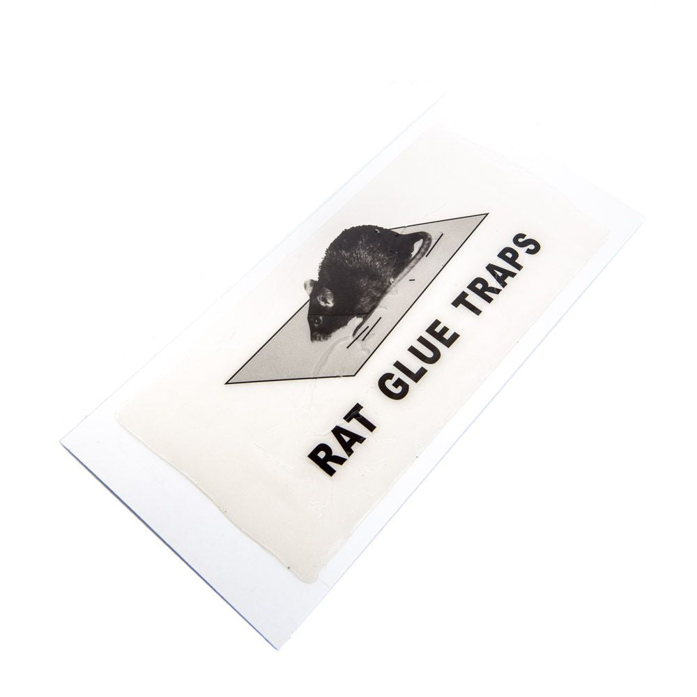 Expert Mouse Glue Trap (2pc)