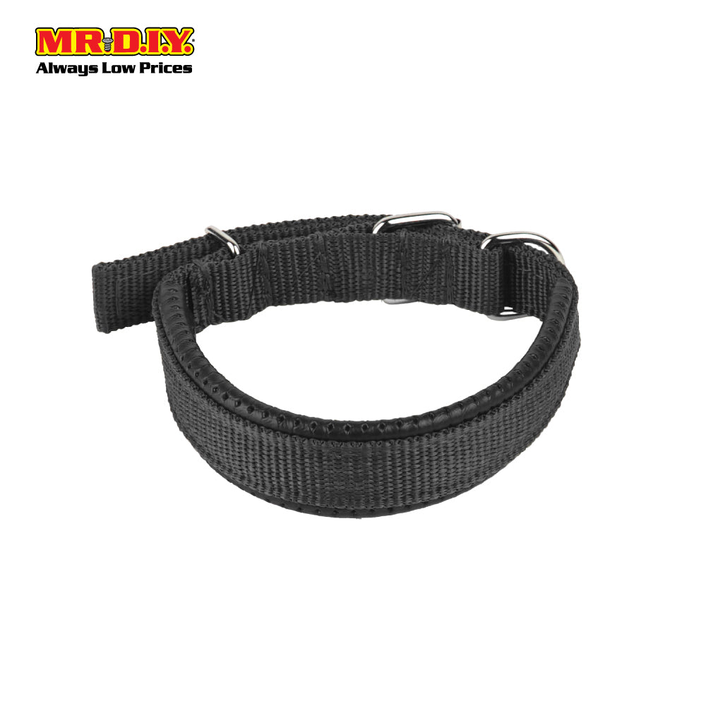JIN XIN Pet Collar