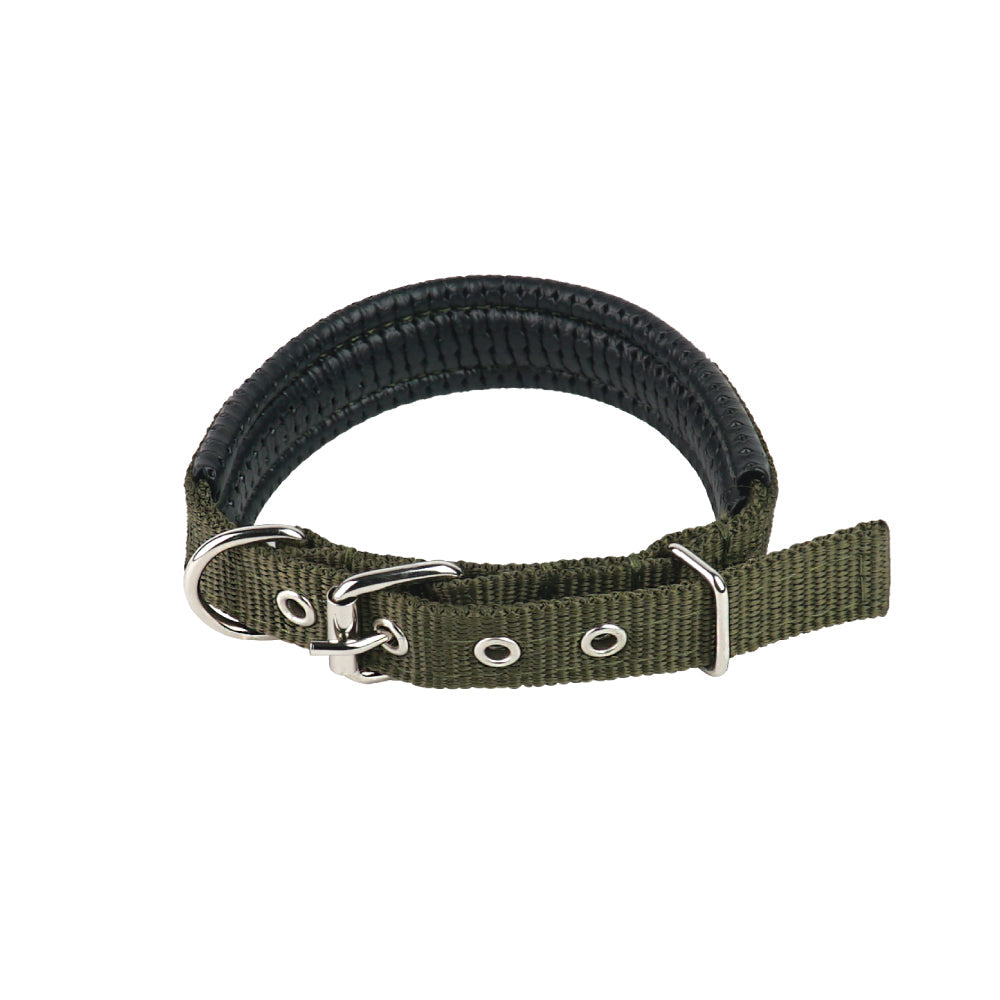 JIN XIN Pet Collar