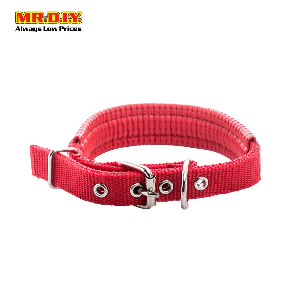 JIN XIN Pet Collar