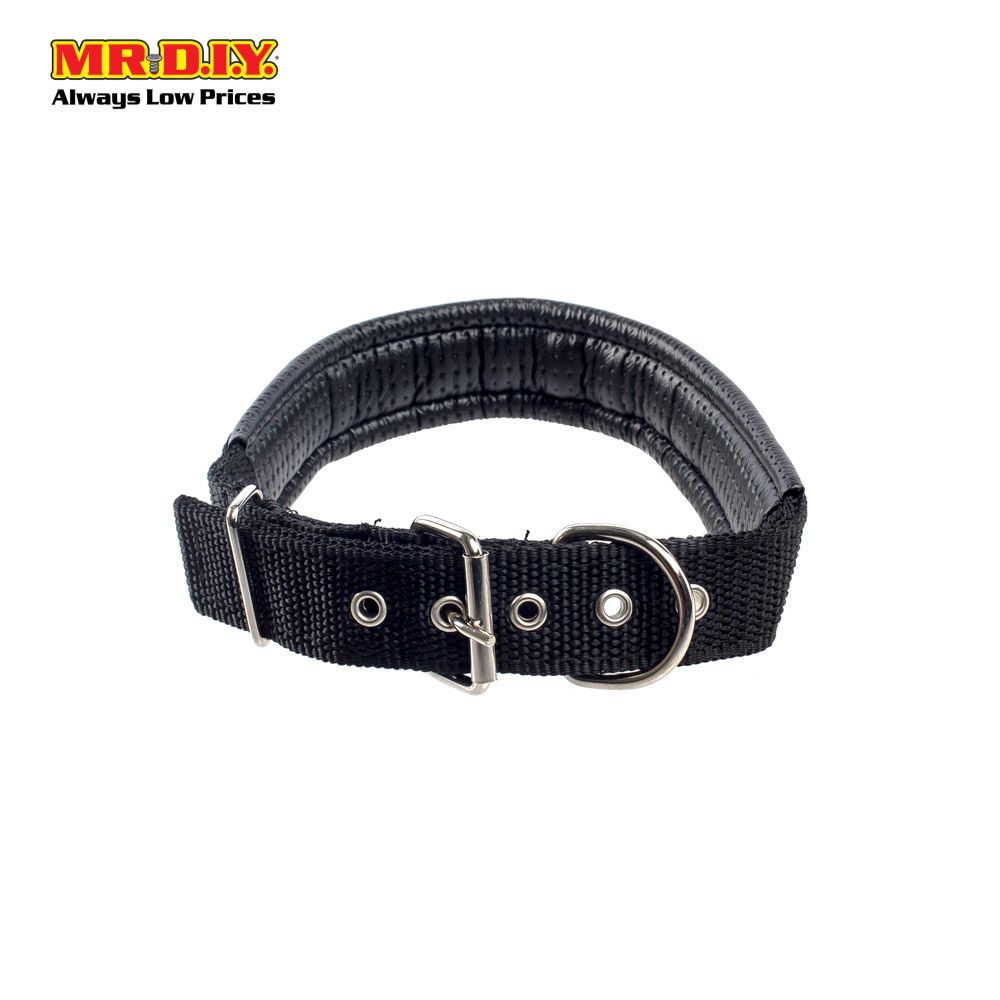 JIN XIN Pet Collar 3cm